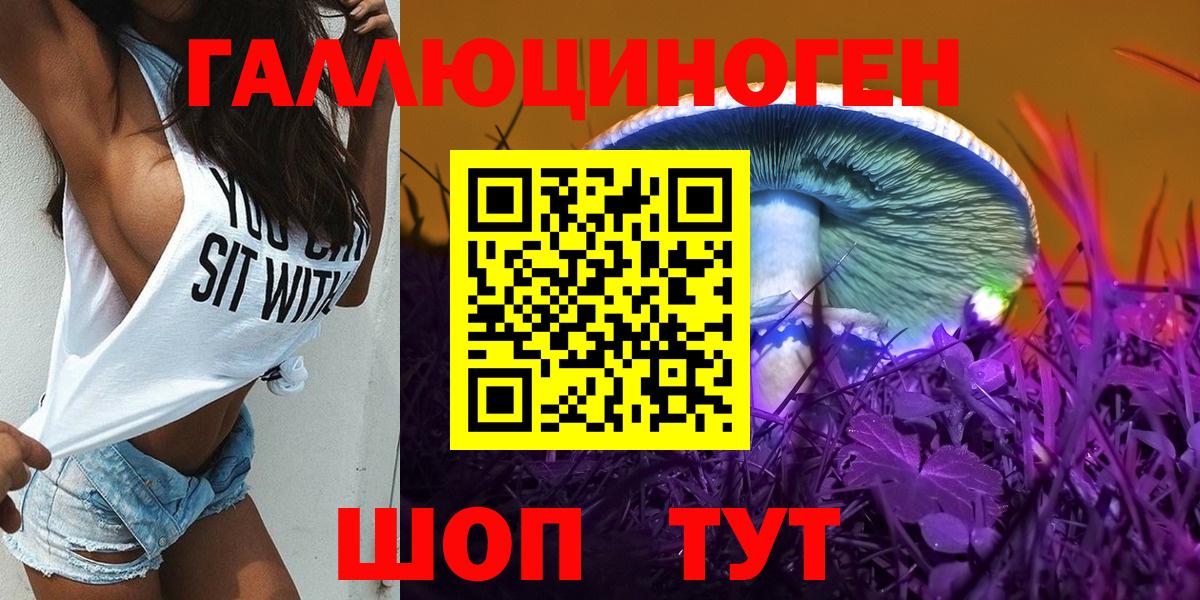 Галлюциногенные грибы мицелий  цена   Белгород  Вход с VPN 